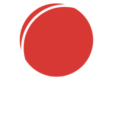 alt through Custom JS